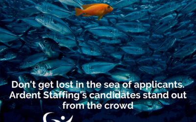 We have some incredible employment opportunities available in central and western Massachusetts. Let us help you stand out from the crowd and find the position of your dreams. Apply online or call us to get started today! ArdentStaffingSolutions.com (508)530-7212 Central MA #ardentstaffing #ourpassionispeople #workwiththebest #nowhiring #hireardent #newjob #itsupport #seniortechsupport #ourpassionispeople #manufacturing #soldering #administrative #medicaldevice #customerservice #servicerepresentative #quality