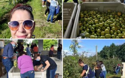 To celebrate National Food Bank Day, Kristie and Zena from @ardentstaffing got out to harvest apples for the Community Harvest Project. Thank you for harvesting thousands of apples that were immediately shipped to the local food pantries. #helpothers #giveback #nationalfoodbankday