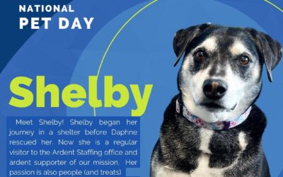 Today is National Pet Day and we can’t think of a better way to celebrate than by recognizing this sweet girl, Shelby! If you’d like to learn more about our leadership team (and Shelby) please visit our new ‘Meet Our Team’ page.  #ardentblog #ourpassionispeople #nationalpetday #adoptashelterdog