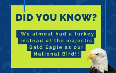 Did you know….. Benjamin Franklin wanted the national bird to be a Turkey. He said "The bald eagle is a bird of bad moral character, the turkey is a more respectable bird." Glad he lost out on that vote…!! 🦃🦅 Happy Independence Day and Happy Birthday America!