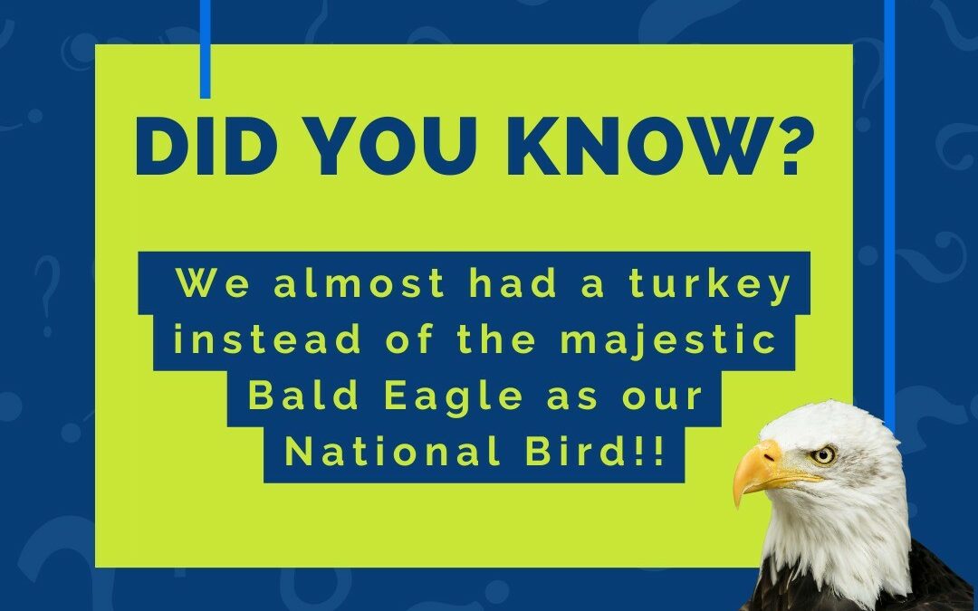 Did you know….. Benjamin Franklin wanted the national bird to be a Turkey. He said "The bald eagle is a bird of bad moral character, the turkey is a more respectable bird." Glad he lost out on that vote…!! 🦃🦅 Happy Independence Day and Happy Birthday America!