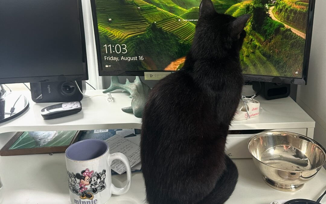 Some coworkers are more helpful than others…. Today, this little furry friend was NOT being a helpful coworker 🐈‍🙄 #workingfromhome #felinefriends #fridayvibes #ardentblog